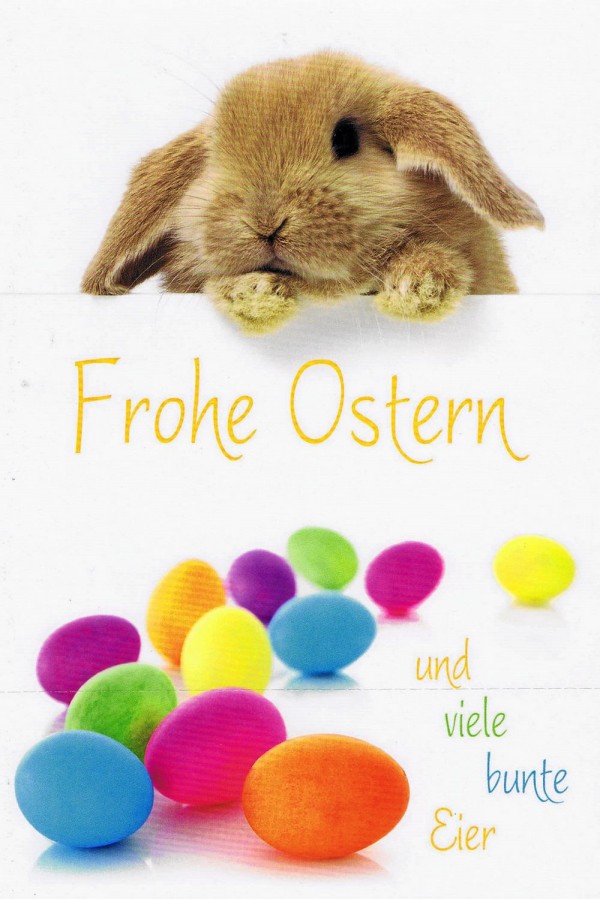 Osterkarte Osterhase und viele bunte Eier O136 